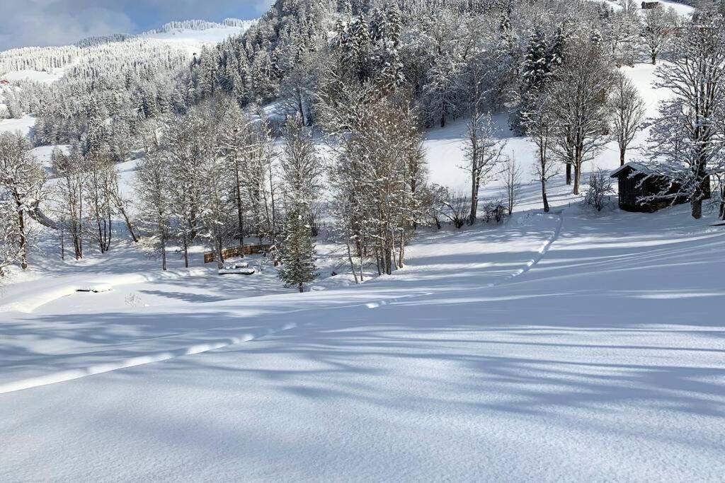 Zuhaus Schernfeichten Kitzbühel Buitenkant foto