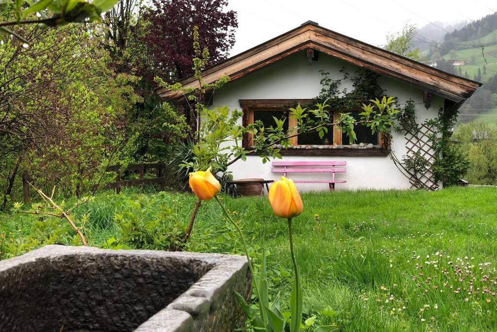 Zuhaus Schernfeichten Kitzbühel Buitenkant foto